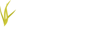 LOGO CAPIM LIMAO